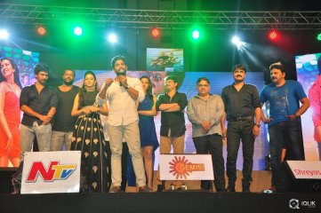 Sarrainodu Movie Blockbuster Function